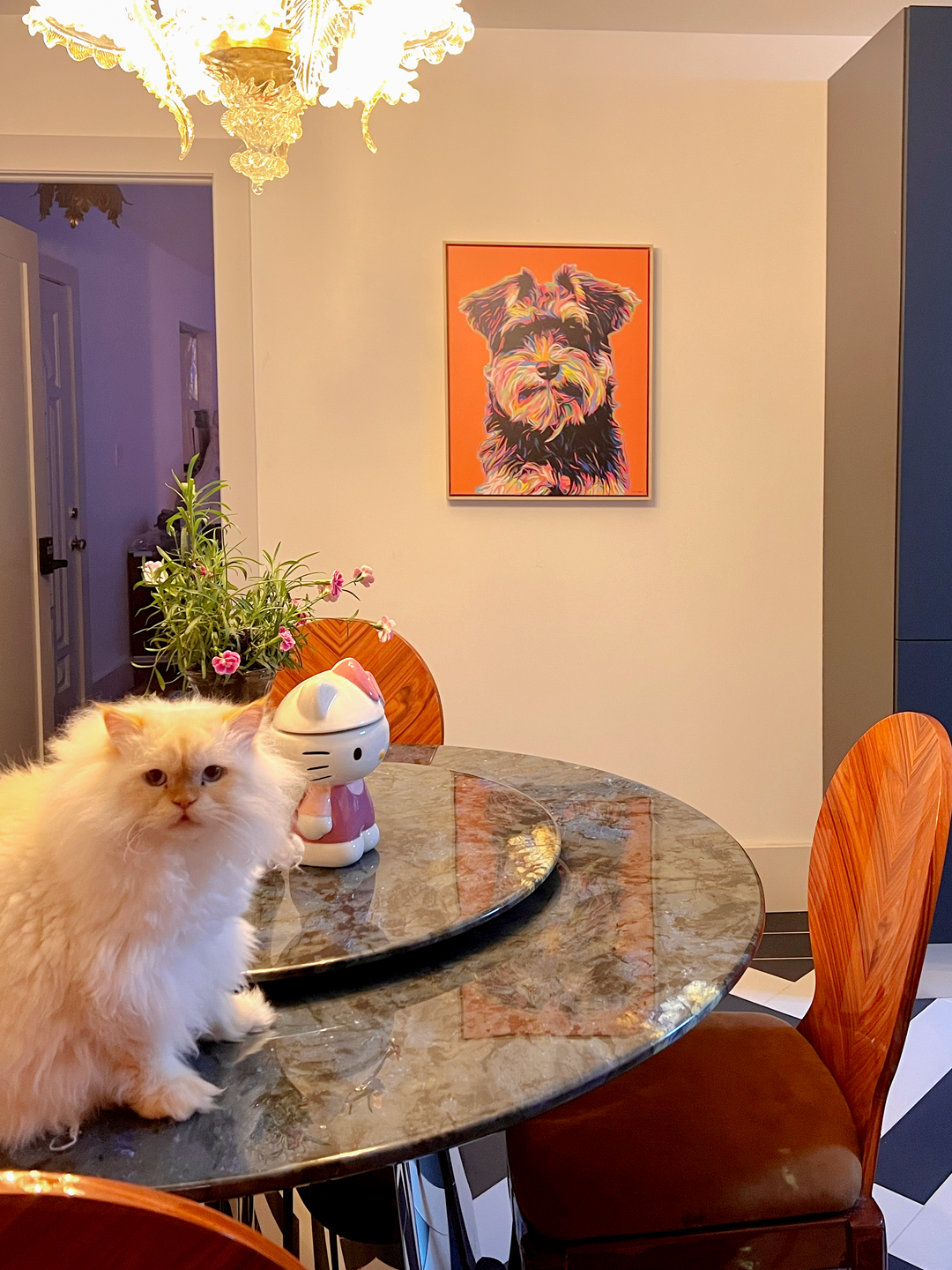 Custom POP Pet Portrait from Your Photo