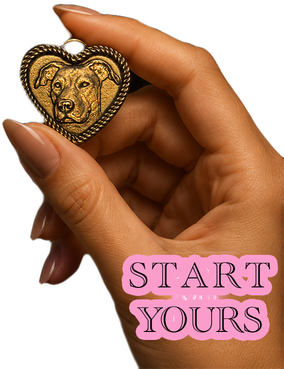 Start Yours